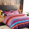 Neon Color Aqua Brown and Red Striped Print Modern Chic Beautiful Twin, Full, Queen Size Bedding Sets
