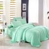 Bright Mint Plain Colored Luxury and Expensive Noble Excellence Simply Chic Unique Girls Microfiber Tencel Full, Queen Size Bedding Sets