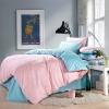 Pink and Light Blue Plain Colored All Cotton Modern Chic Simply Cute Style Microfiber Girls Full, Queen Size Bedding Sets