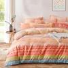 Aztec Stripe Southwestern Bohemian Modern Chic Full, Queen Size Bedding Sets