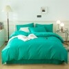Solid Turquoise Trendy Twin, Full, Queen Size Bedding Sets