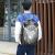 Ext Image
