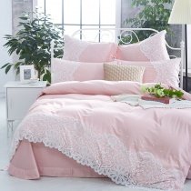 Blush Pink Bohemian Tribal Pattern Applique Vintage Victorian Lace Sophisticated Elegant Romantic Girls Full, Queen Size Bedding Sets