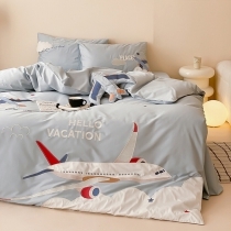 Boys Airplane Modern Chic Twin, Full Size Bedding Sets