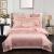 Pink Girls Paisley Shiny Pastel Style Modern Full, Queen Size Bedding Sets